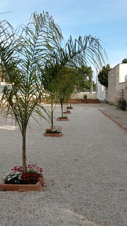 Villa Angela Chiara Porto Cesareo Exterior photo